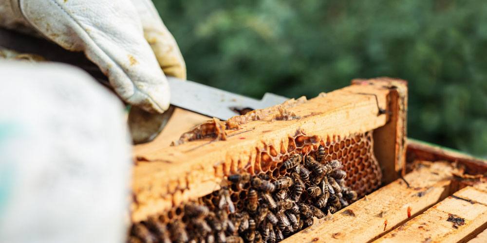 Kategorisieren Sie Ihre Beiträge