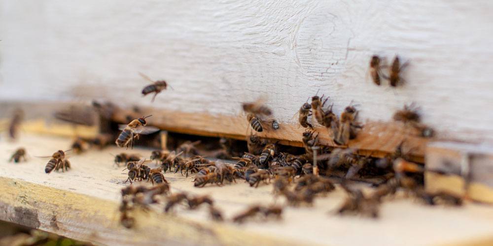 Bleiben Sie in Kontakt mit Ihren Besuchern