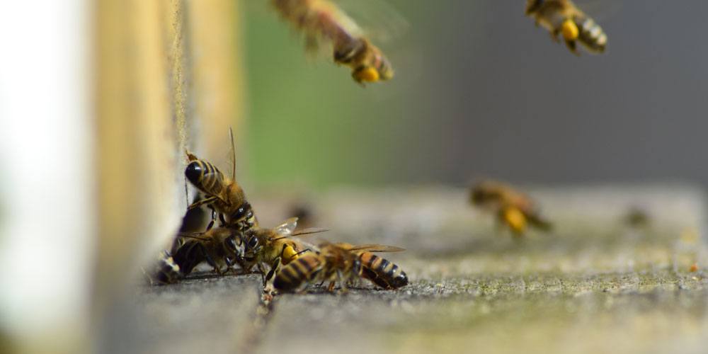 Inhalte von Blog-Artikeln